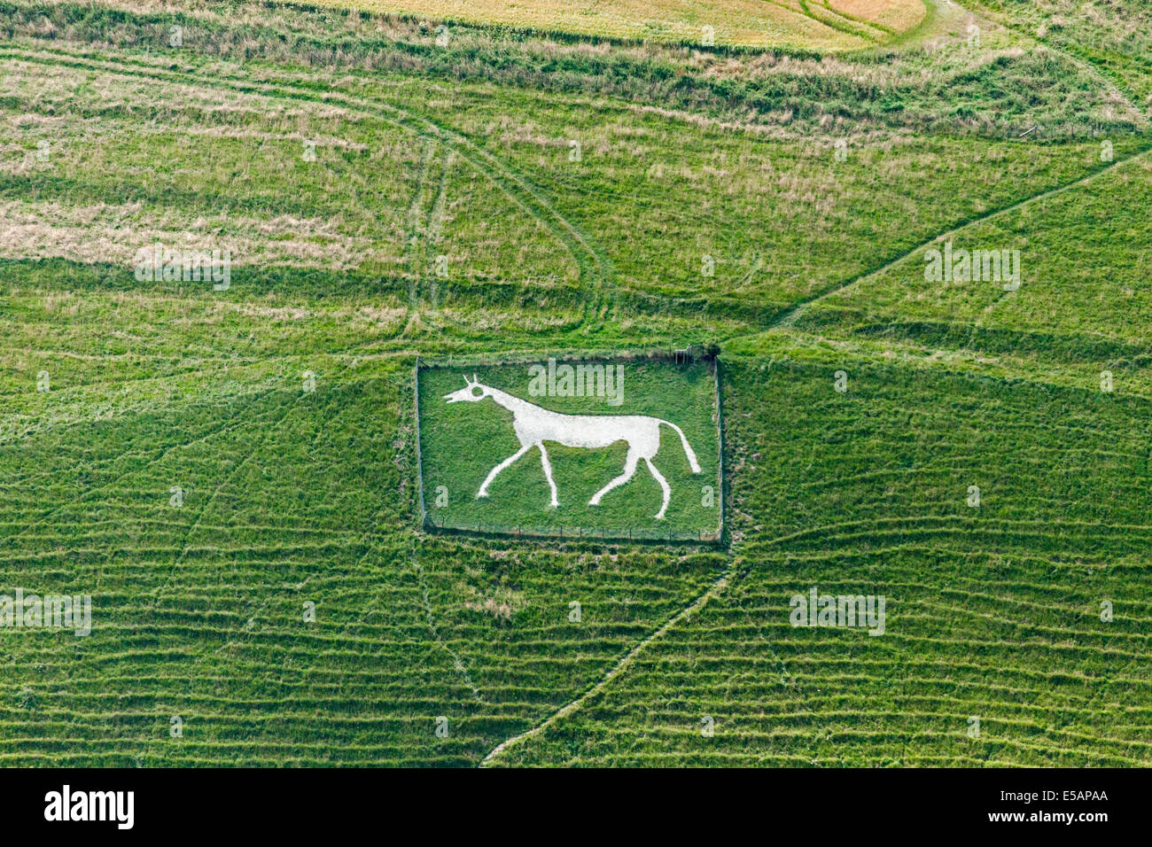 Luftbild neue Pewsey White Horse, Wiltshire, UK. JMH6203 Stockfoto