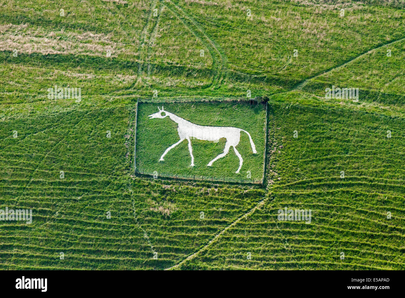 Luftbild neue Pewsey White Horse, Wiltshire, UK. JMH6204 Stockfoto