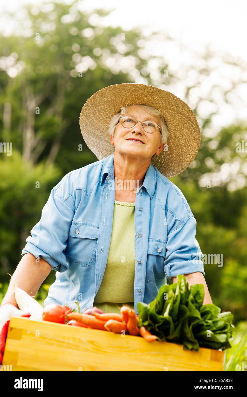 Ältere Frau mit Box mit Gemüse Debica, Polen Stockfoto