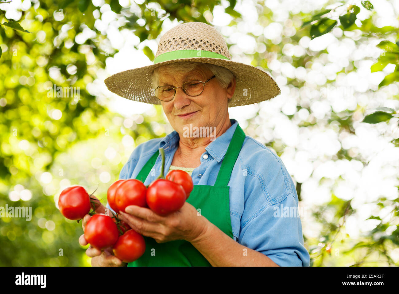 Ältere Frau mit Tomaten Debica, Polen Stockfoto