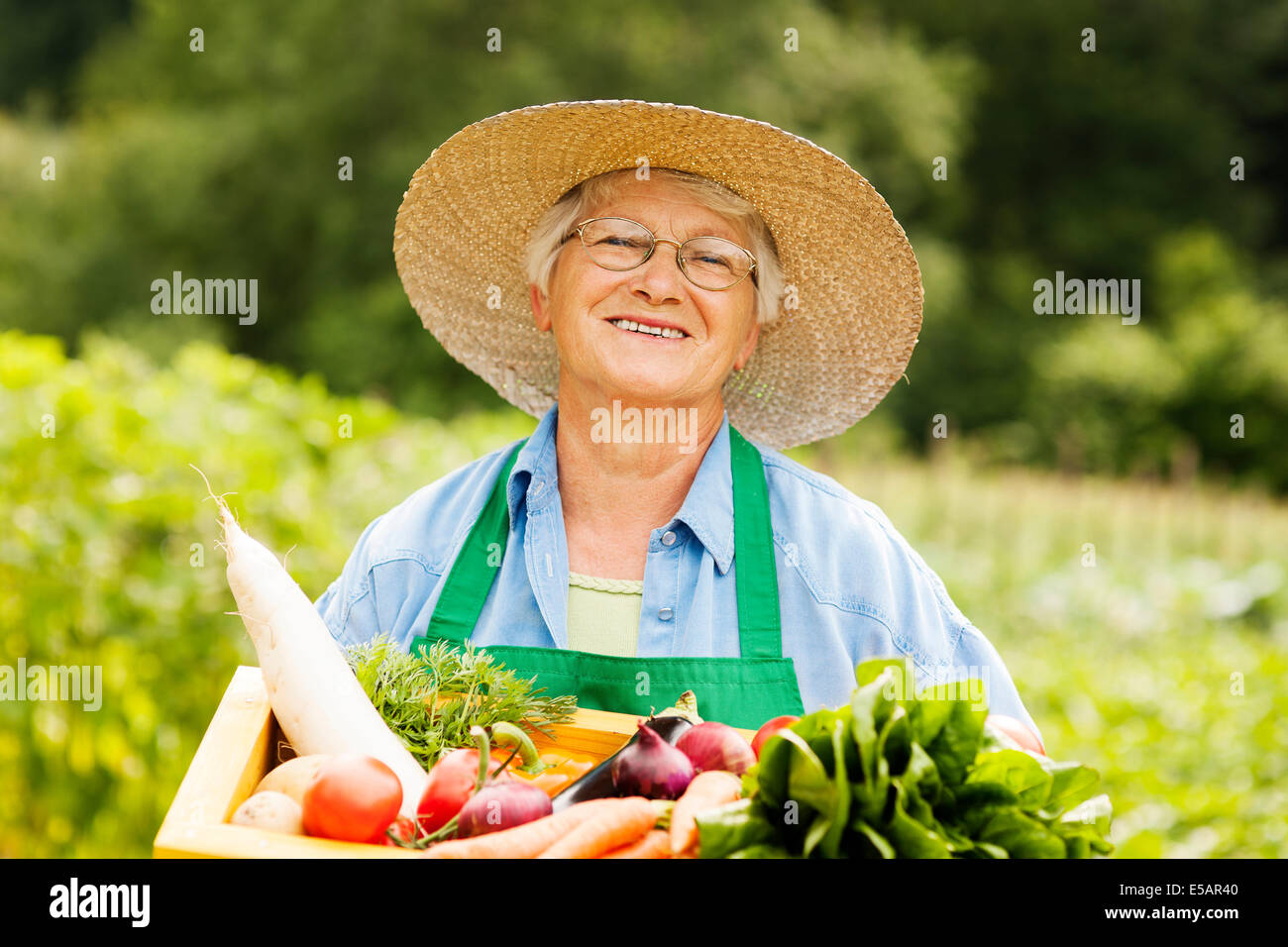 Ältere Frau mit Holzbox mit Gemüse Debica, Polen Stockfoto