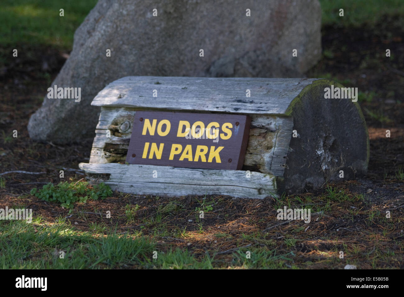 Keine Hunde in den Park! Ein Zeichen in einem Park in Pacific Grove, Kalifornien Stockfoto
