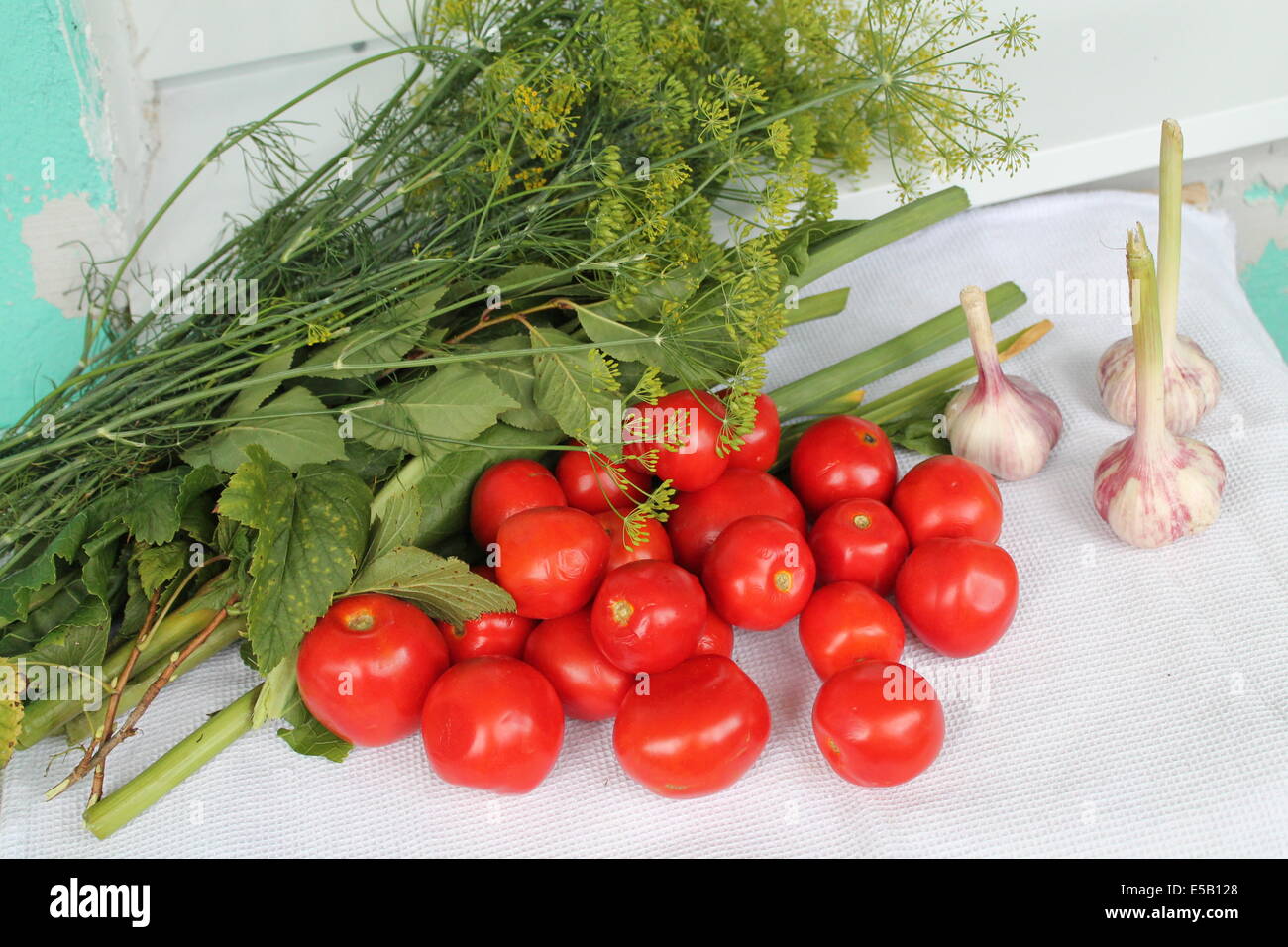 appetitlich bunten Vitamin frisches Gemüse Tomaten, Knoblauch und Garten Aroma Grünfläche legen auf Tisch Stockfoto