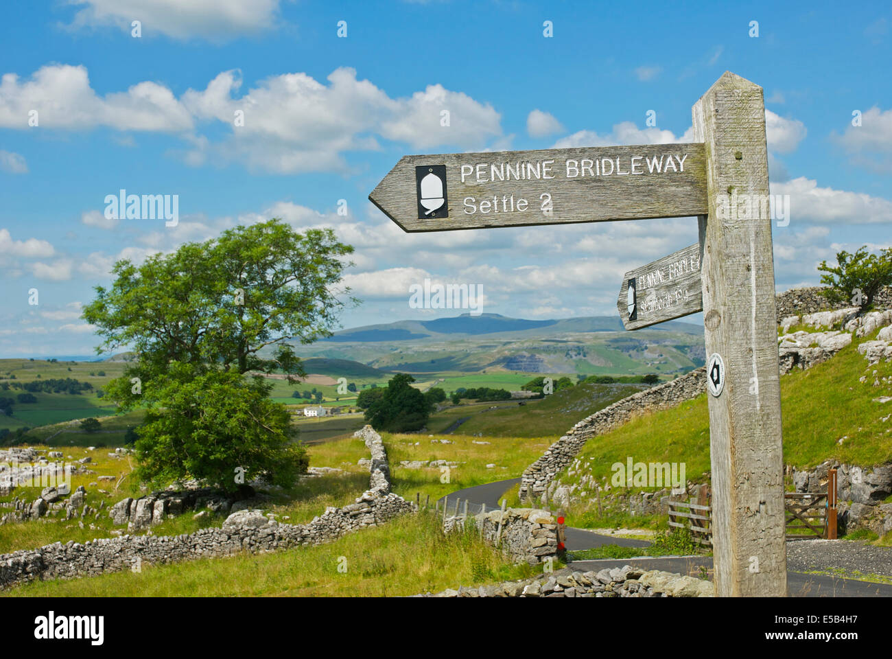 Anmelden, Pennine Bridleway Kalksteinlandschaft - Winskill Stones - Yorkshire Dales National Park, North Yorkshire, England UK Stockfoto