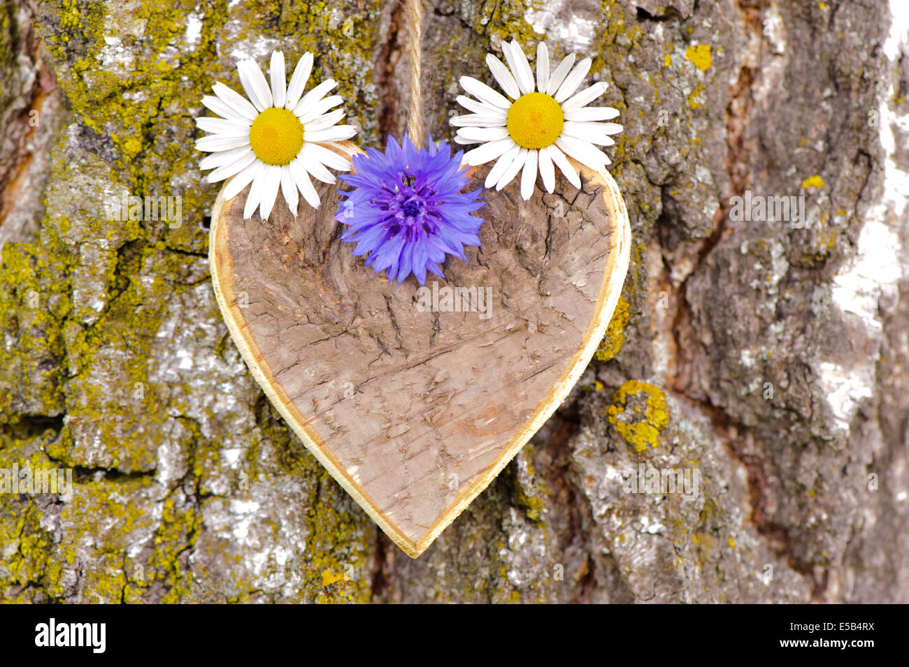 aus Holz geschnitzte Herz mit Blumen an Baumrinde als Symbol für die Liebe Stockfoto