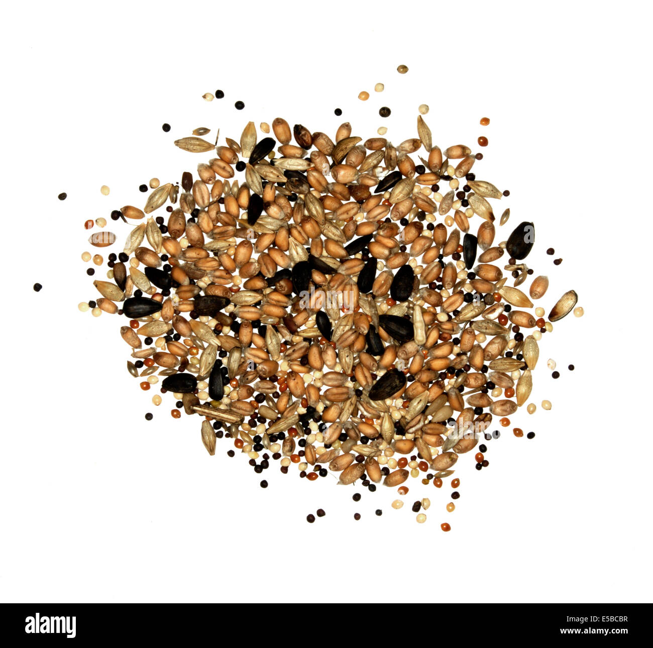 Gemischtes Vogelfutter für Garten Vogelhäuschen Stockfoto