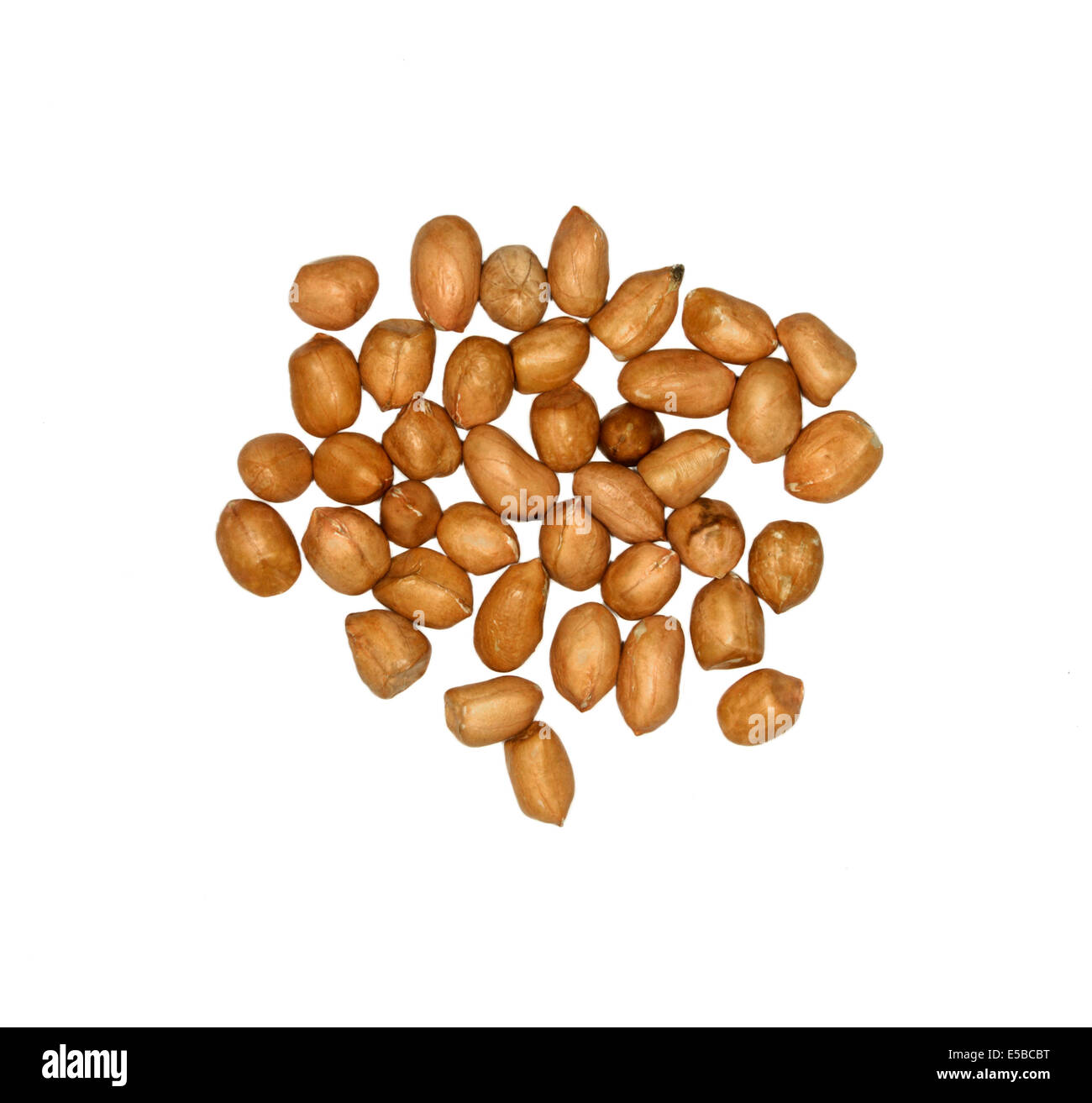 Erdnüsse für Garten Vogelhäuschen Stockfoto