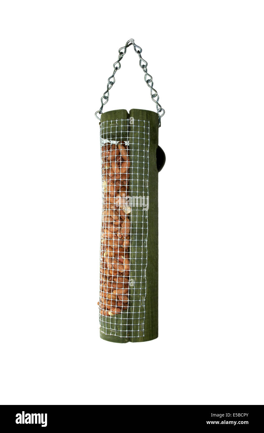 Gemeinsamer Garten Erdnuss Vogelhäuschen Stockfoto