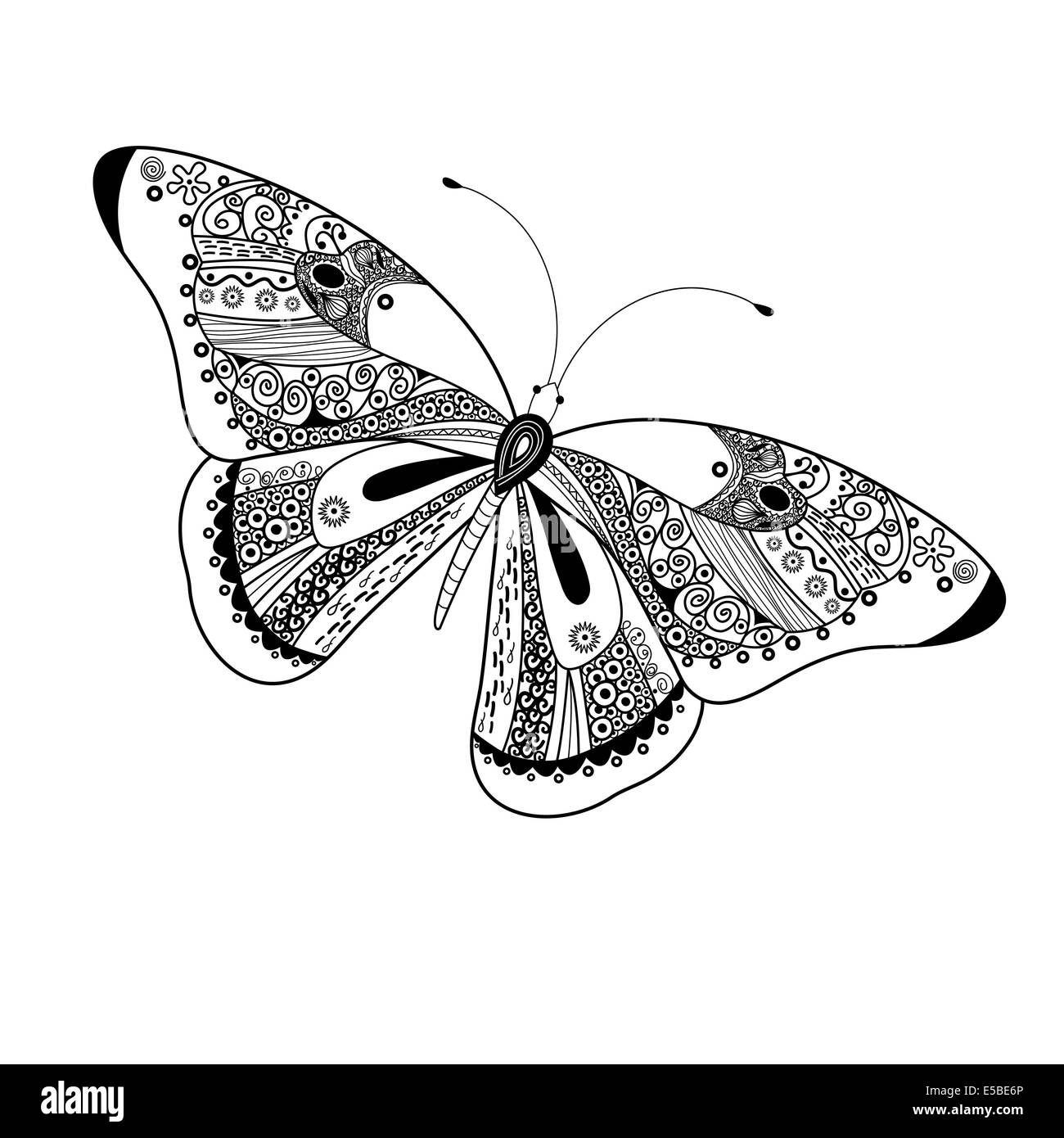 Schöne dekorative Grafik Schmetterling auf einem weißen Hintergrund Stockfoto