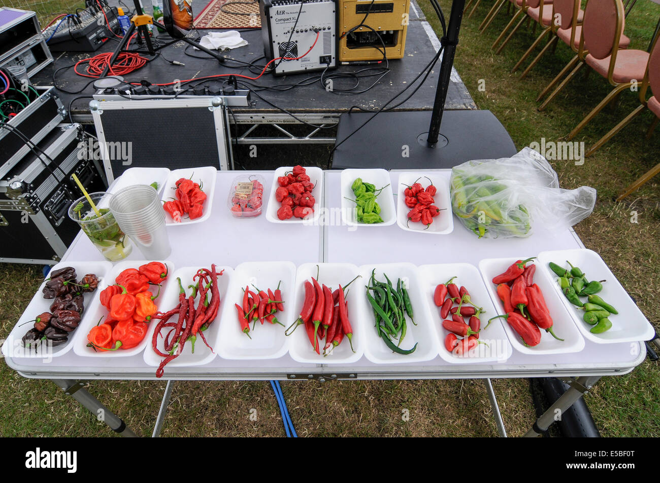 Bushey, Hertfordshire, UK, 27. Juli 2014 - The Awesome Hertfordshire Chilli Fiesta 2014 angezogen Chili lieben Besucher.  Mehrere Beteiligte in einer Chili-Wettessen mit jeder Runde bestehend aus Essen eine rohe Chili Wärme zu erhöhen. Im Bild: die verschiedenen Chilis gegessen werden von den Teilnehmern in jeder Runde Credit: Stephen Chung/Alamy Live News Stockfoto