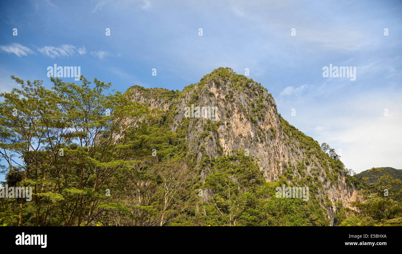 Tropischen Kalkstein Lebensraum, Perak, Malaysia Stockfoto
