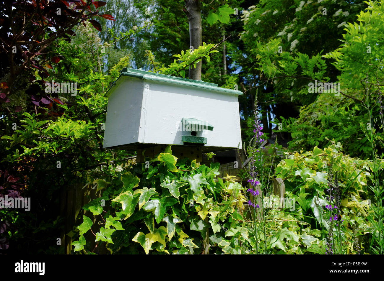 Bienenstock im Garten Stockfoto