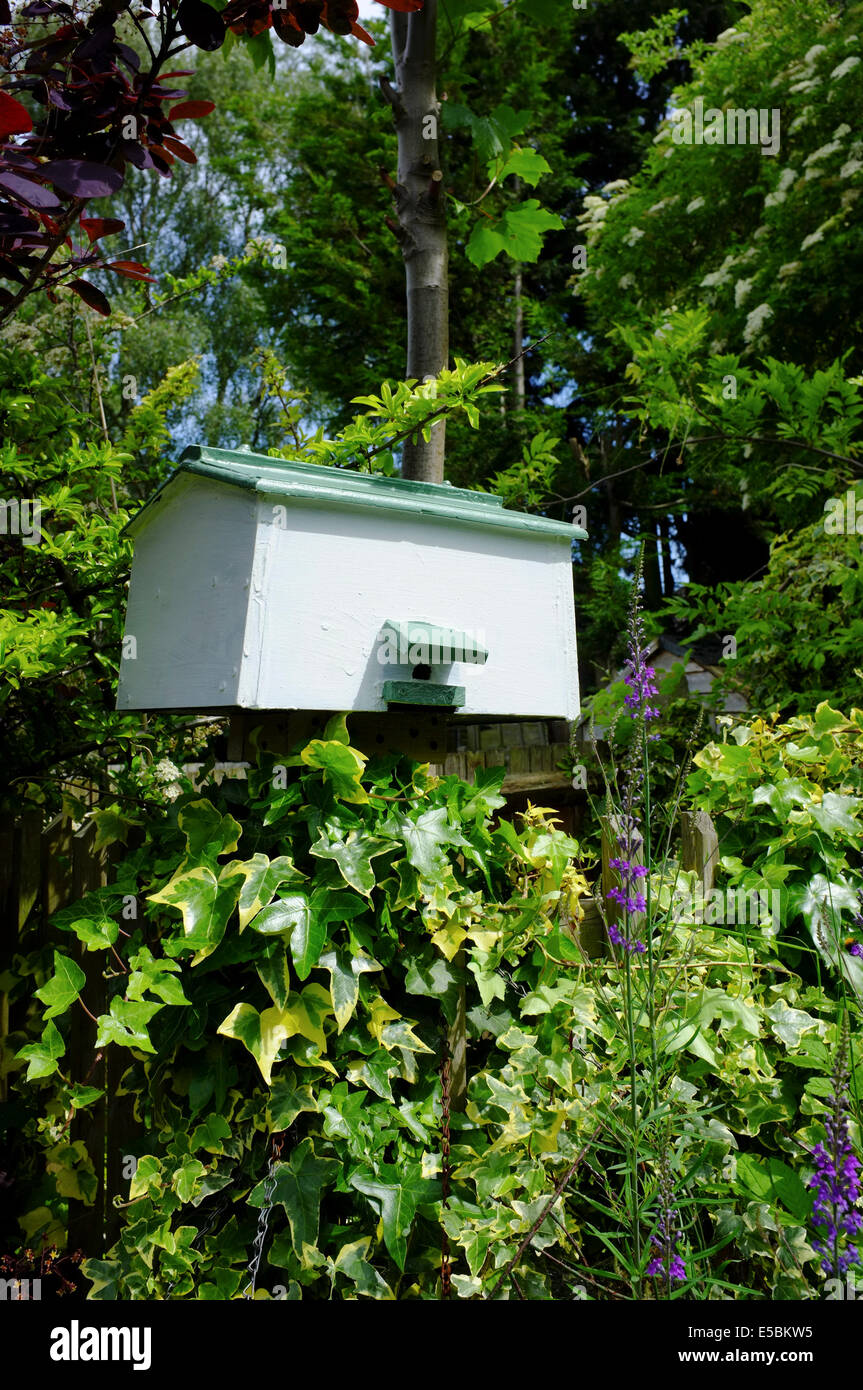 Bienenstock im Garten Stockfoto
