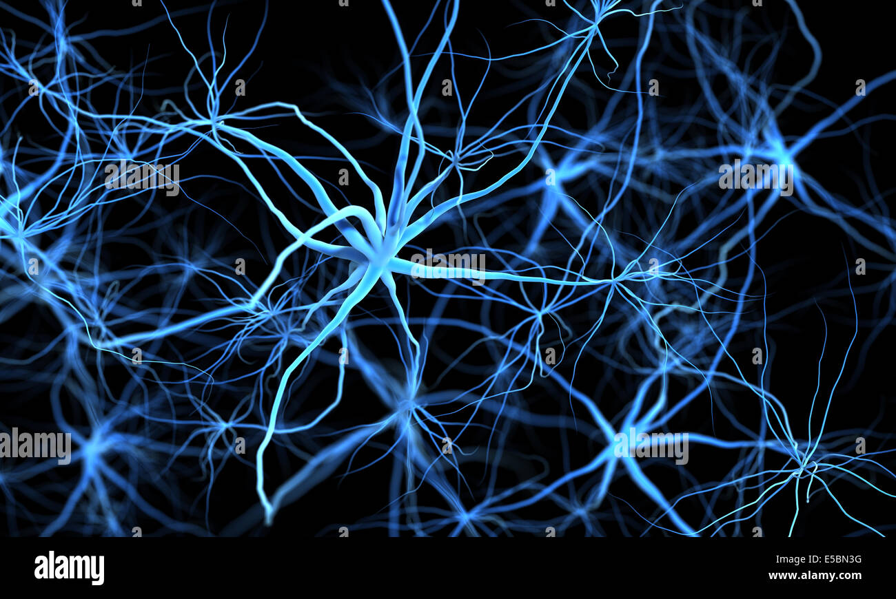 Nervensystem.  Medizinische illustration Stockfoto