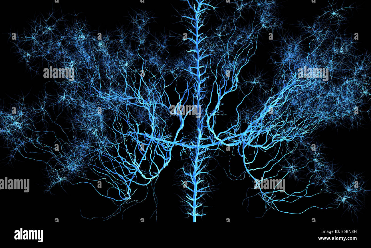 Abstrakte Nervensystem.  Medizinische illustration Stockfoto
