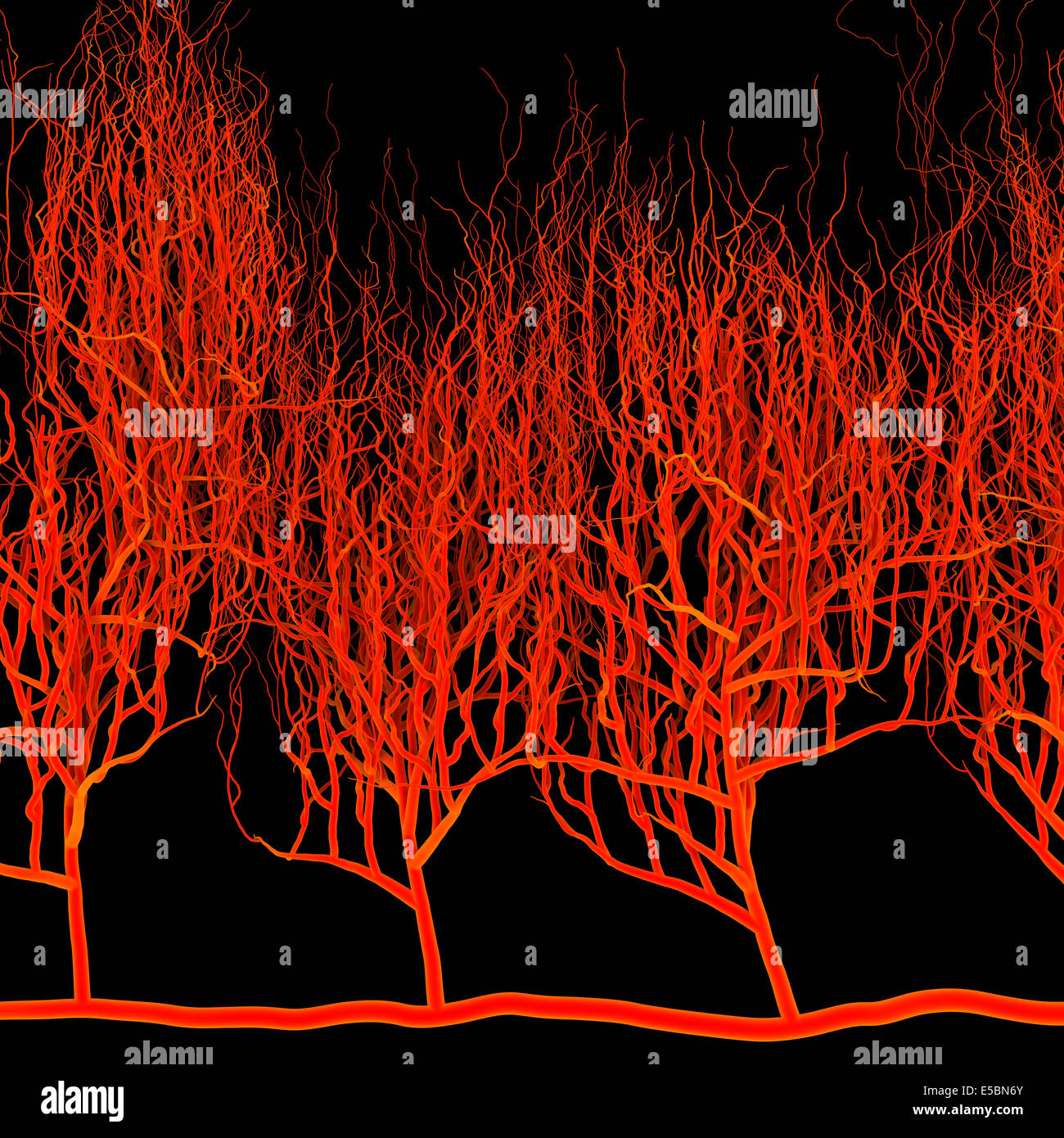 Nervöse oder Blut-System.  Medizinische illustration Stockfoto