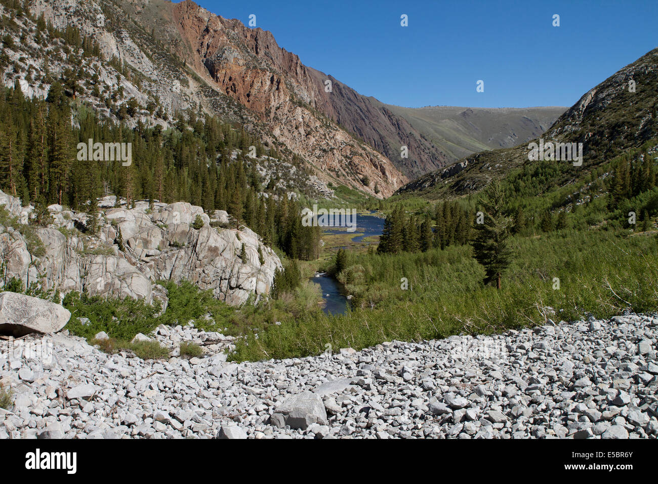 Blick auf einen Teich, verursacht durch einen Biber-Damm am McGee Creek in den Sierra Nevada Mountains Kalifornien Stockfoto