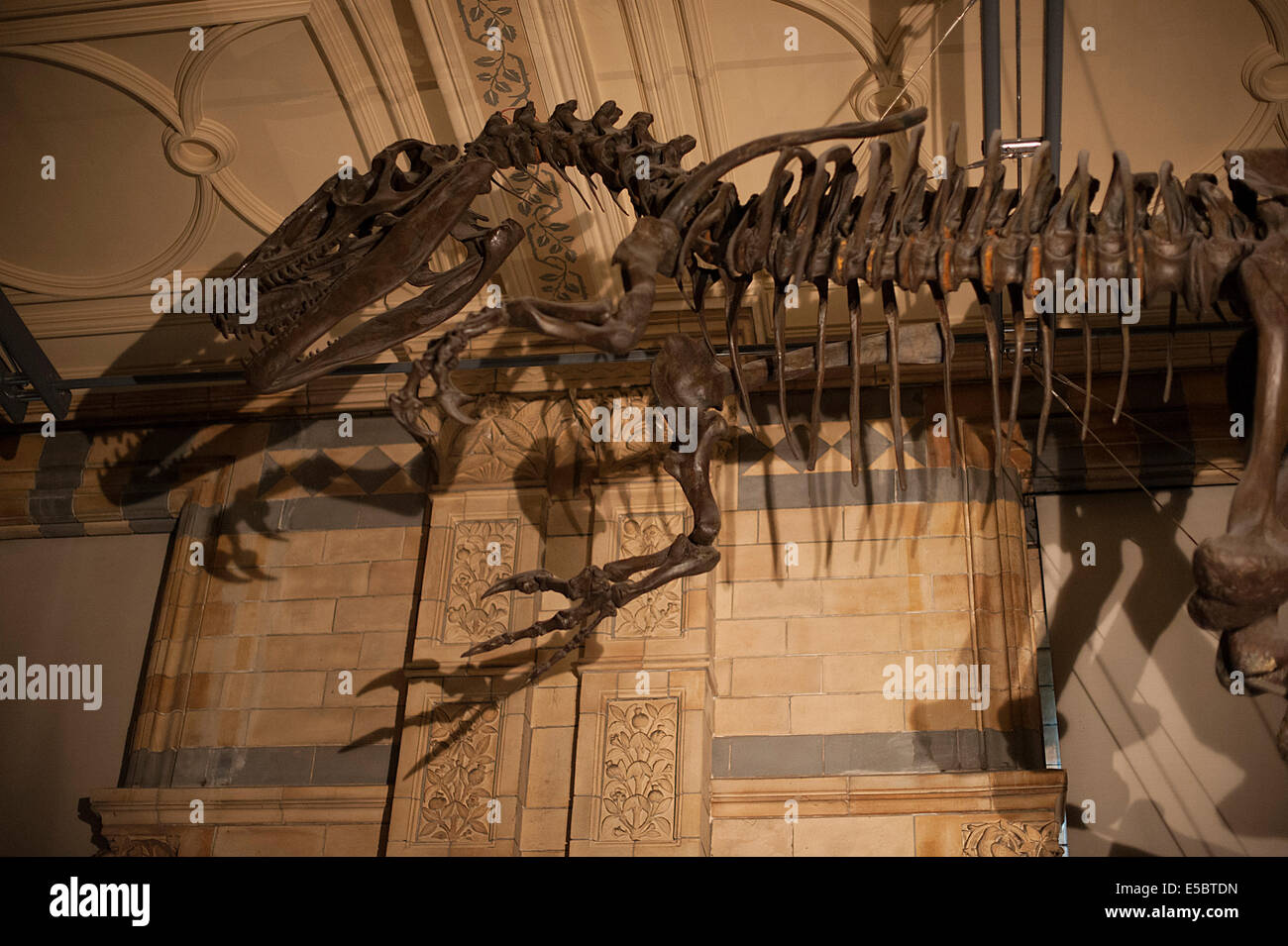 Dinosaurier Iguanodon Bernissart Iguanodos Bernissartensîs, Jura-Zeit Stockfoto