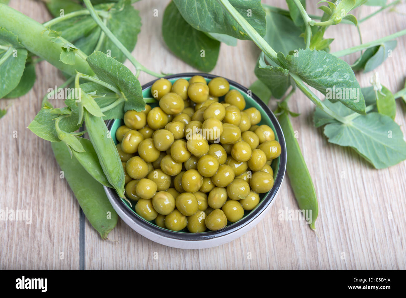 Gekochte grüne Erbsen in eine Tasse, Hülsen und Niederlassungen Stockfoto