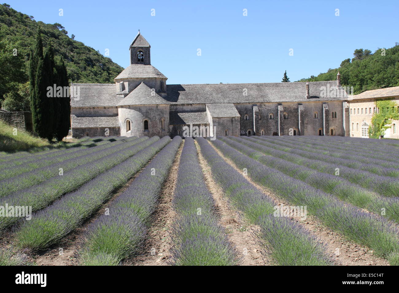 Abtei von Senanque in Provence, Frankreich Stockfoto