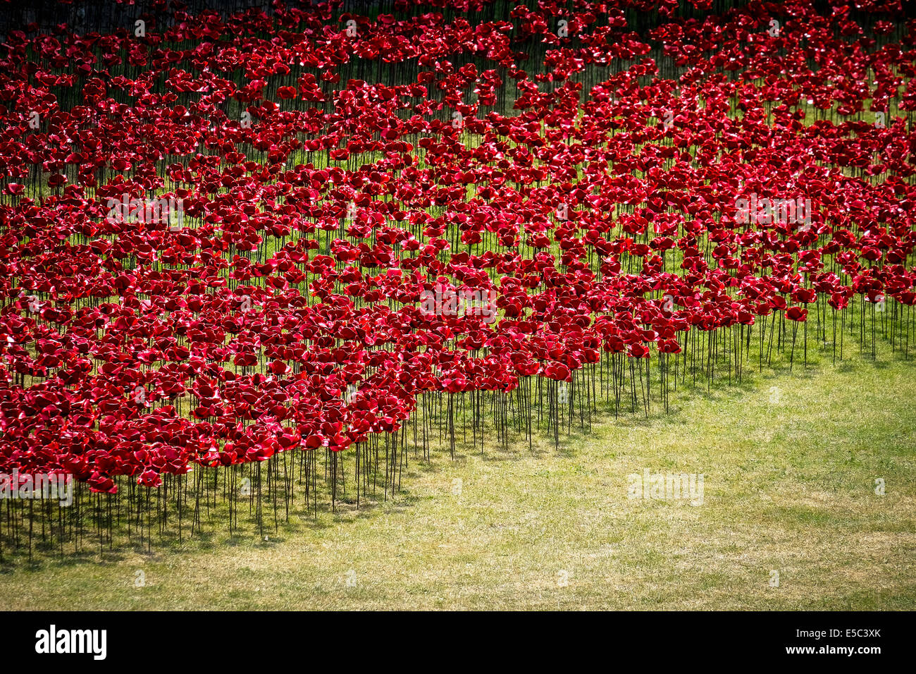 26. Juli 2014: Keramik Mohnblumen gepflanzt in den trockenen Graben an der Tower of London im Rahmen einer atemberaubenden große Kunstinstallation "Blut Mehrfrequenzdarstellung Länder und Meere rot."  Fotograf: Gordon Scammell/Alamy Live-Nachrichten Stockfoto