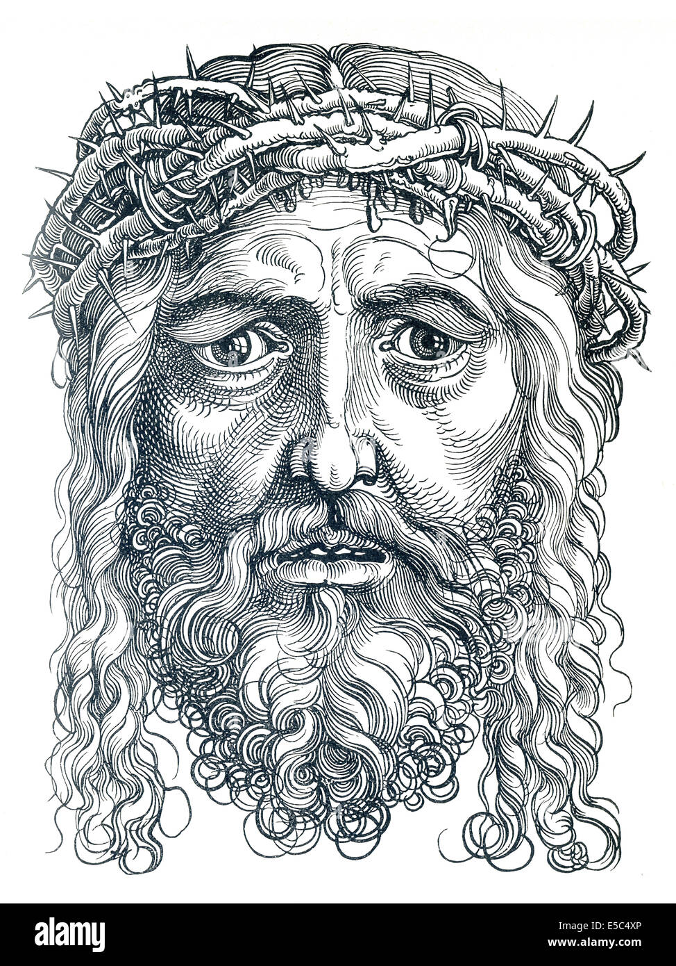 Albrecht Dürer (1471-1528) war ein deutscher Künstler, bekannt für seine Drucke und Zeichnungen von scharfen Beobachtung und Detailreichtum. Stockfoto