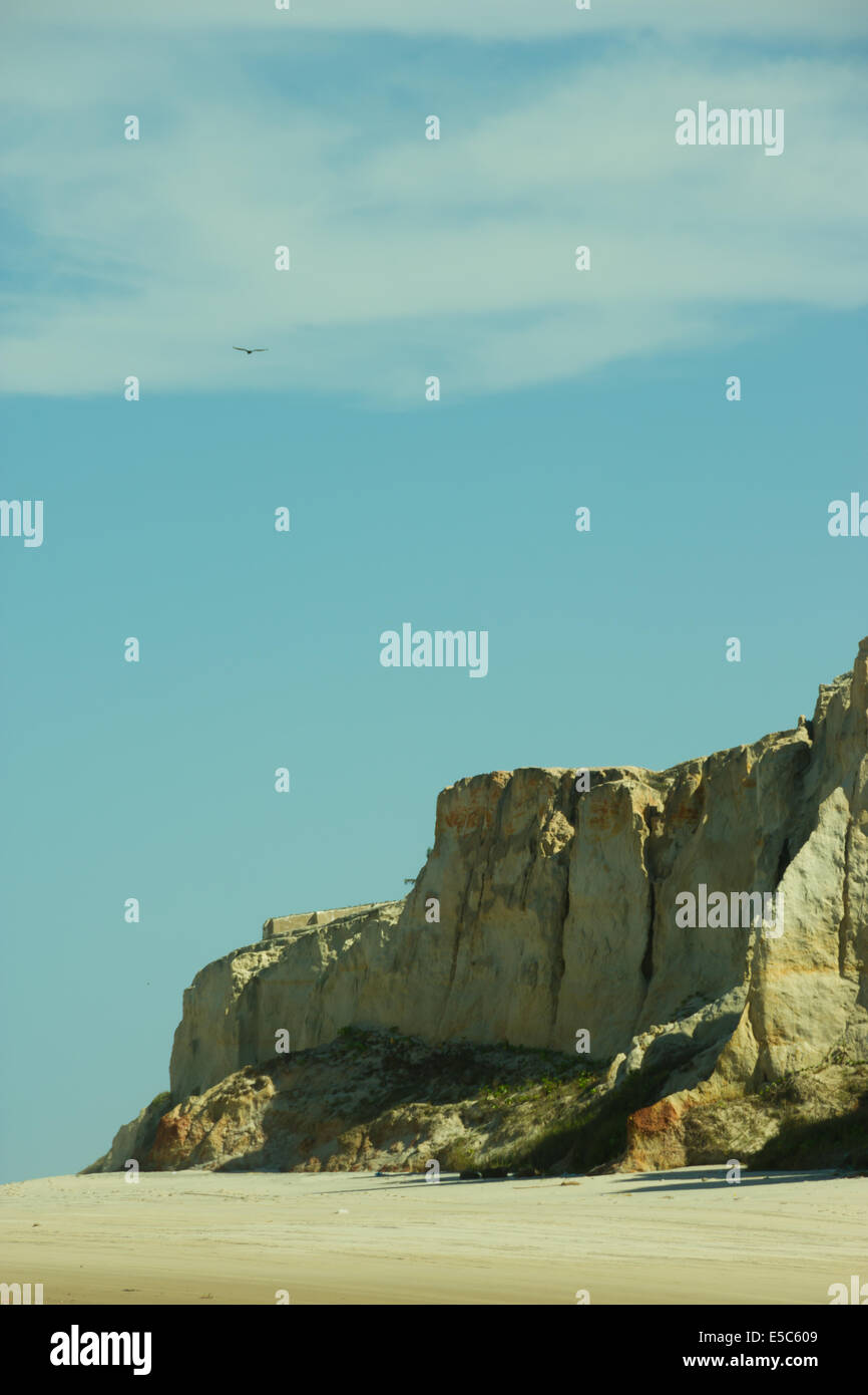 Felsen an einem einsamen Strand im Nordosten von Brasilien. Stockfoto