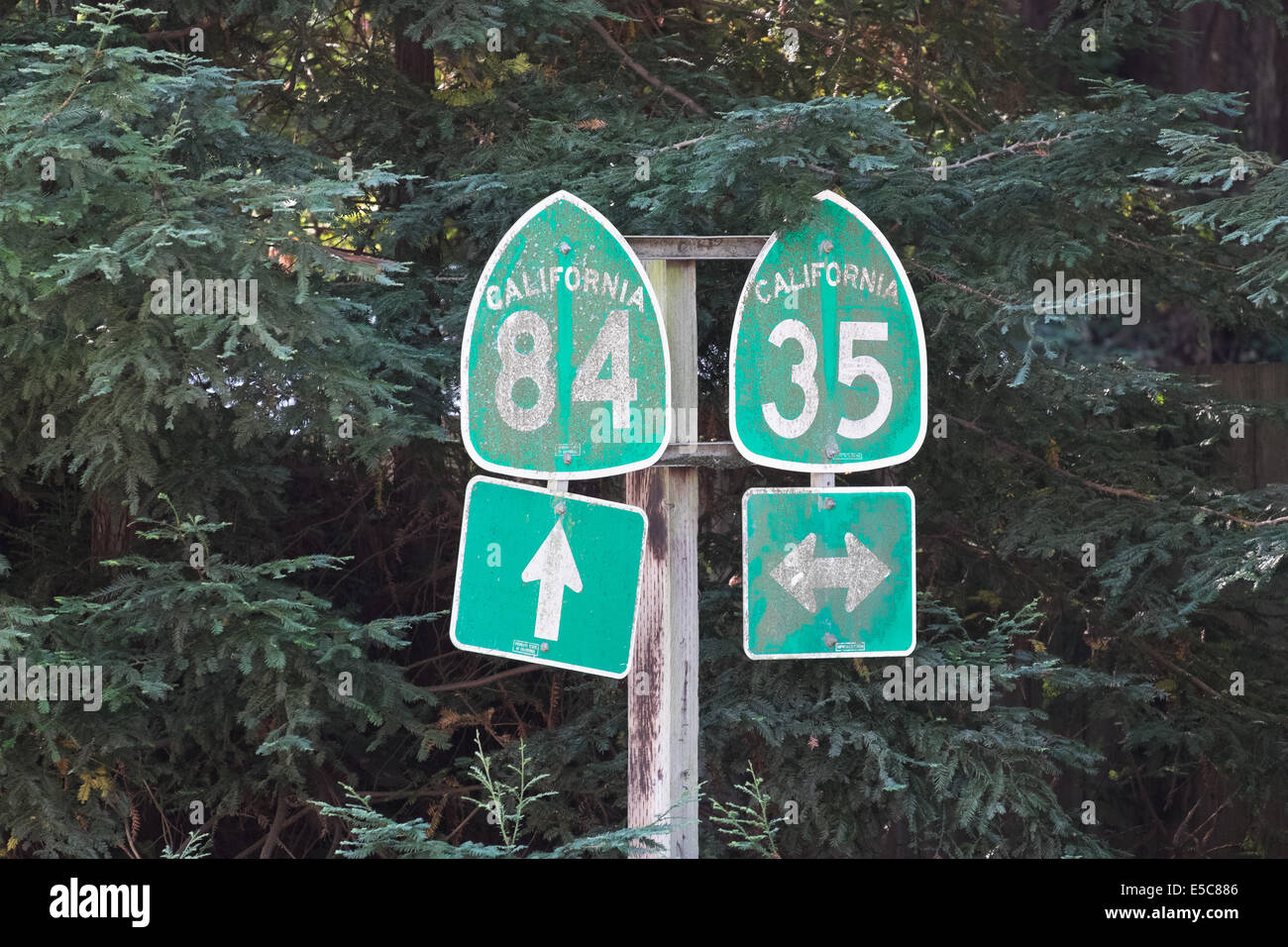 Kreuzung von Highway 84 und Hwy 35 in Nordkalifornien. Skyline Drive und La Honda Road. Stockfoto
