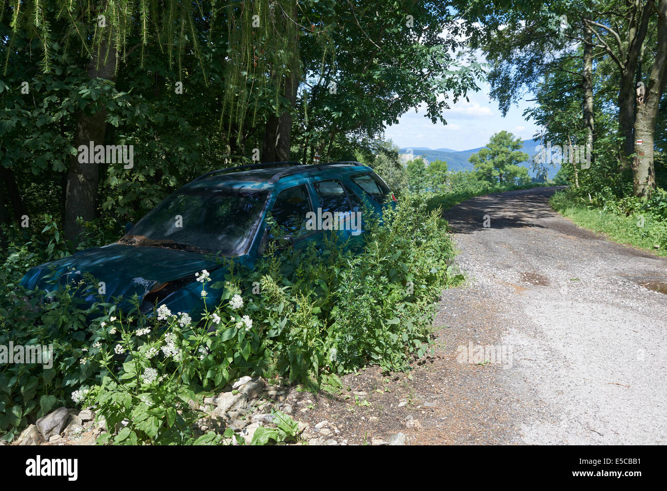 Altes Autowrack verlassen im Wald Stockfoto