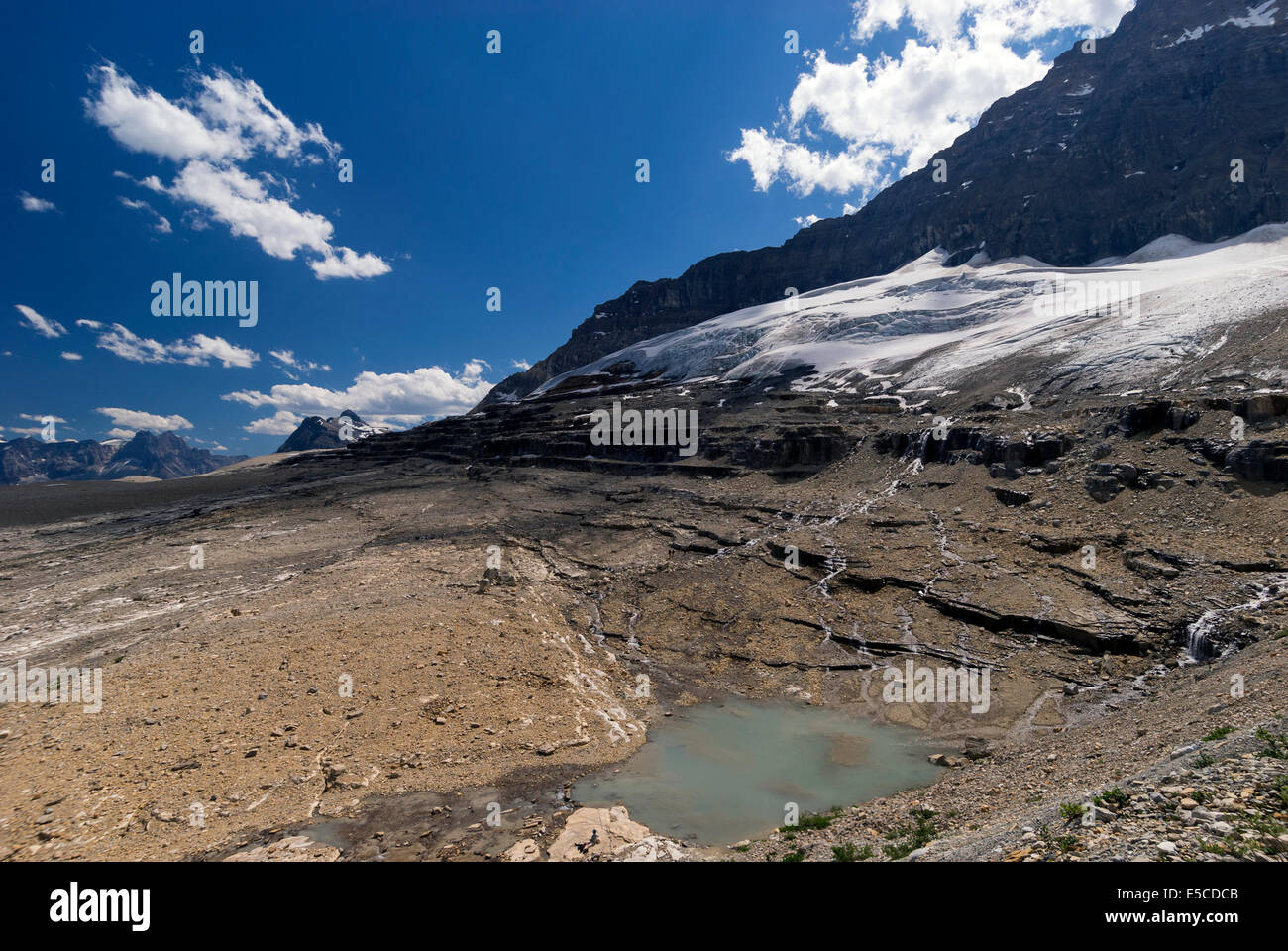 Elk203-2133 Kanada, British Columbia, Yoho-Nationalpark, Island Trail, Smaragd Gletscher Stockfoto