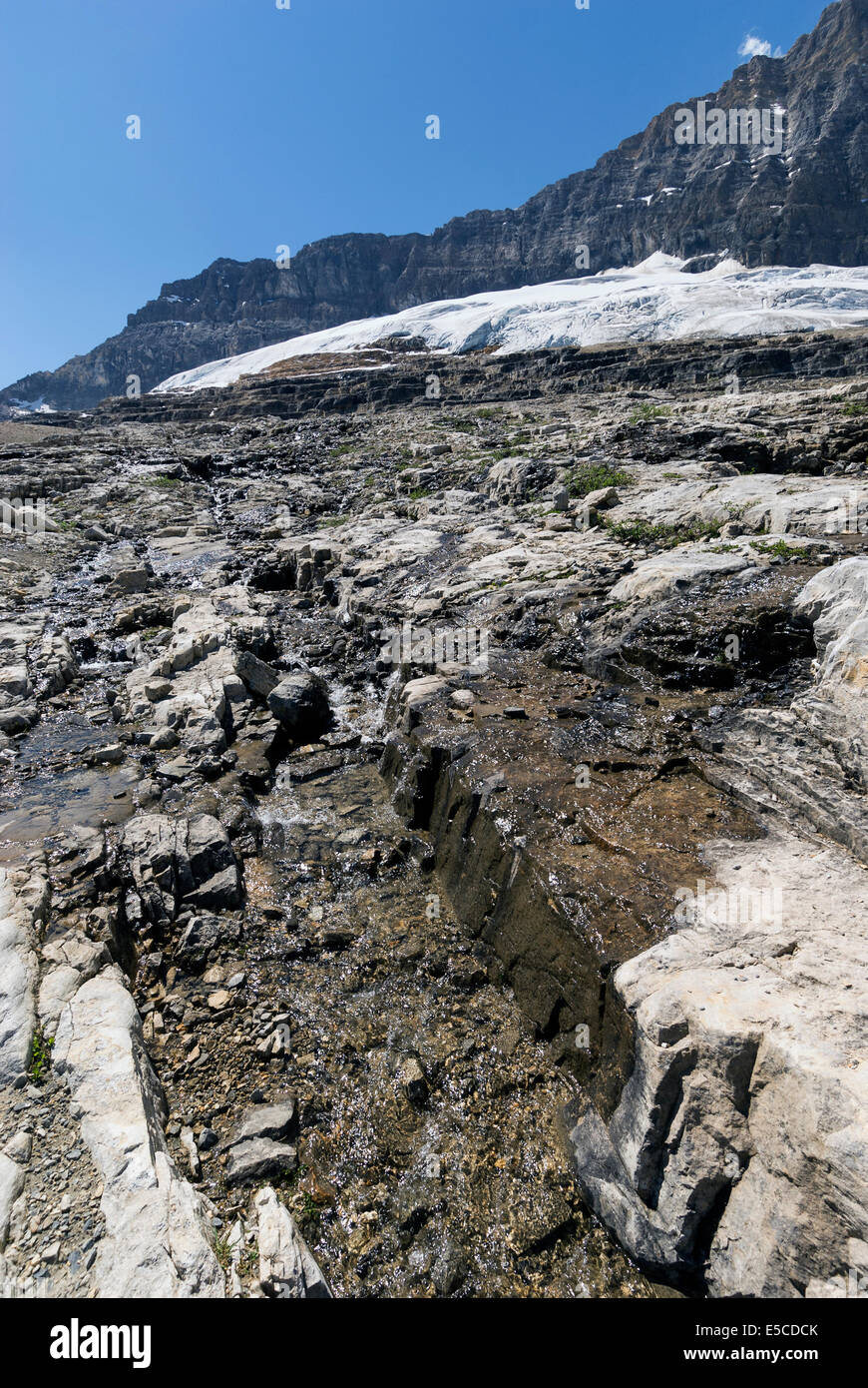 Elk203-2138v Kanada, British Columbia, Yoho-Nationalpark, Island Trail, Smaragd Gletscher Stockfoto