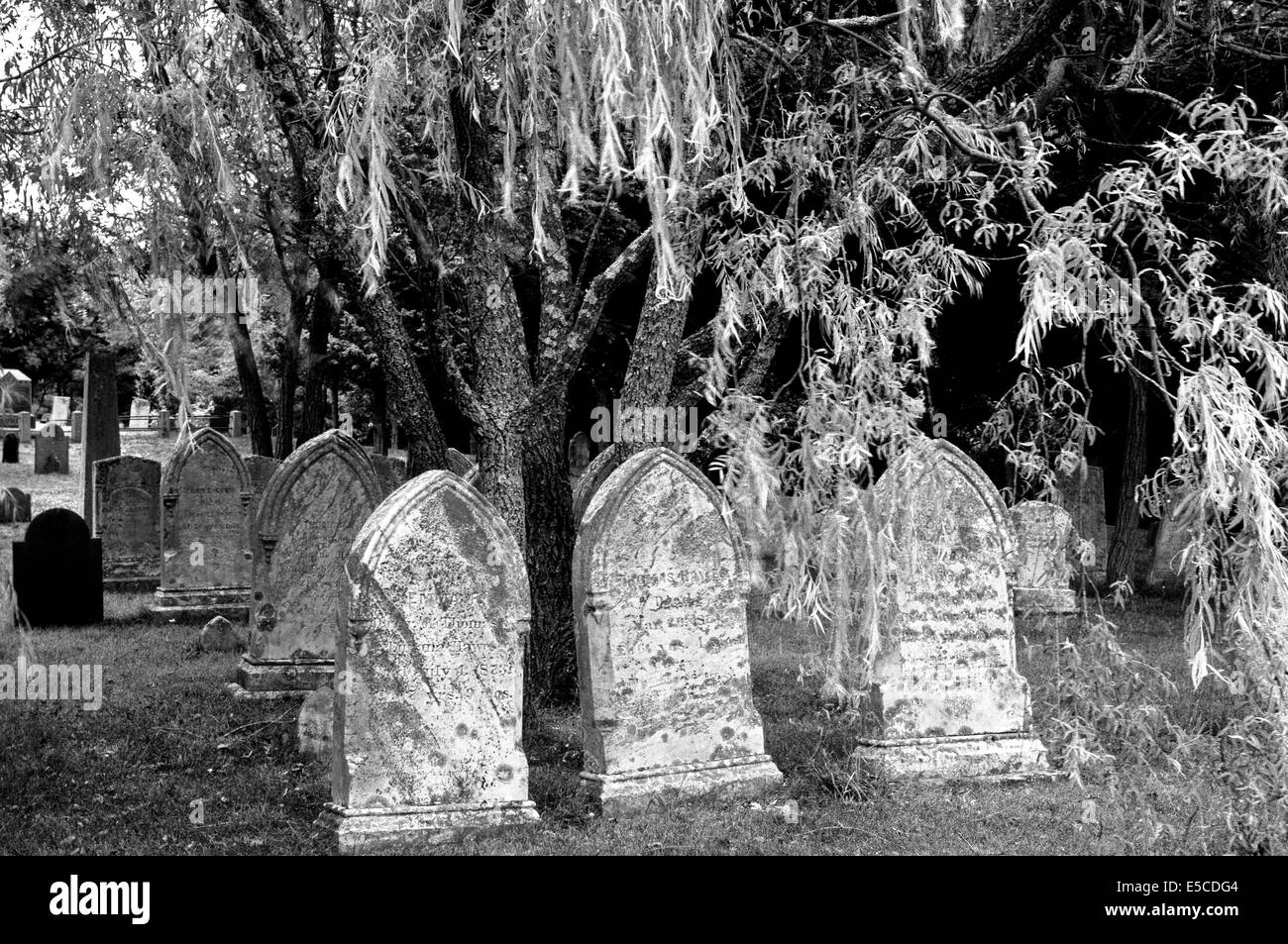 Alte Grabsteine aus den 1800er Jahren finden sich auf diesem Friedhof in Cape Cod, Massachusetts (MA), USA. B&W Bild. Stockfoto