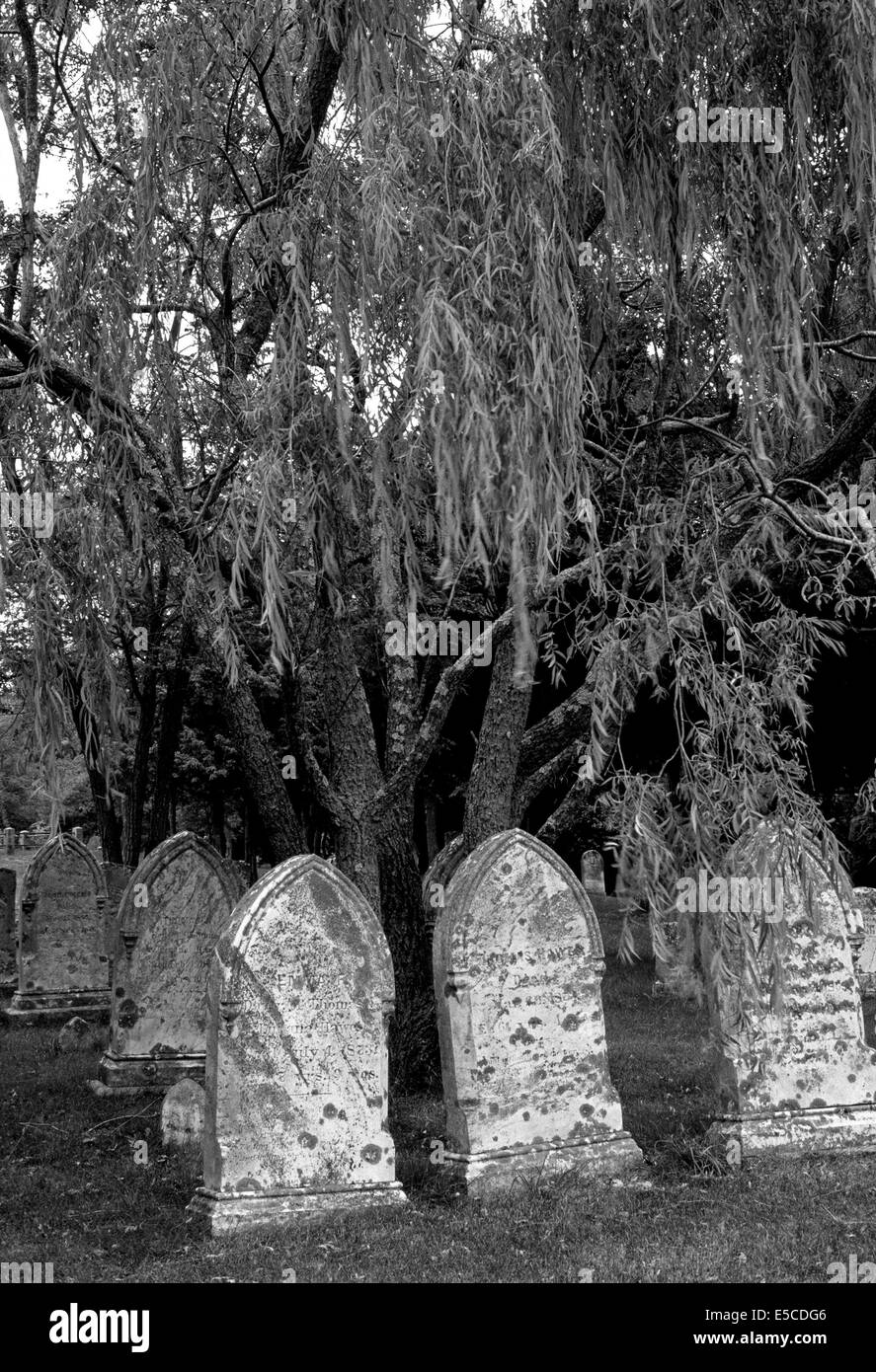 Alte Grabsteine aus den 1800er Jahren befinden sich in diesem New-England-Friedhof in Cape Cod, Massachusetts (MA), USA. B&W Bild. Stockfoto