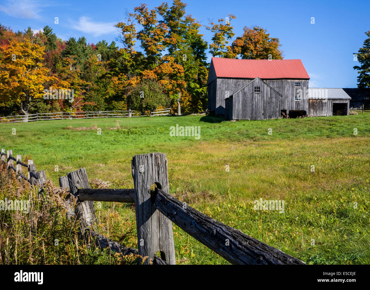 Farbenfrohe Herbstbäume, ländliche Scheune und verwitterter Zaun in Vermont, Herbst lässt New England Herbst Farmszene US Farmland blauen Himmel fallen Stockfoto
