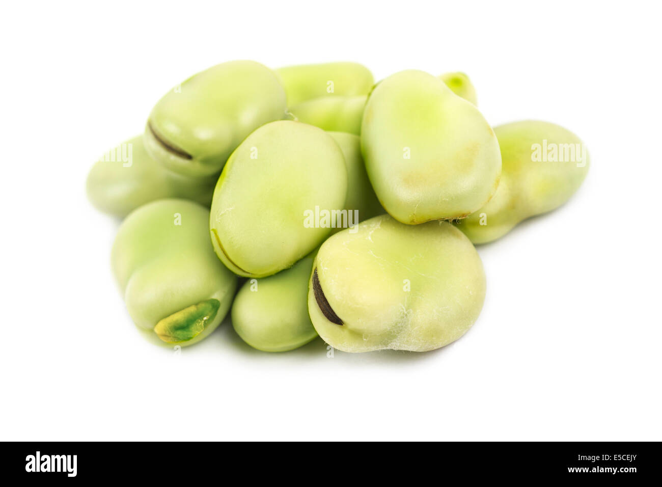 Dicke Bohnen aus den Hülsen, Fava Bean Stockfoto