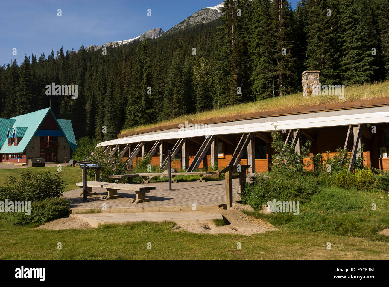 Elk203-2330 Kanada, British Columbia, Glacier National Park, Rogers Pass, Discovery Centre Stockfoto