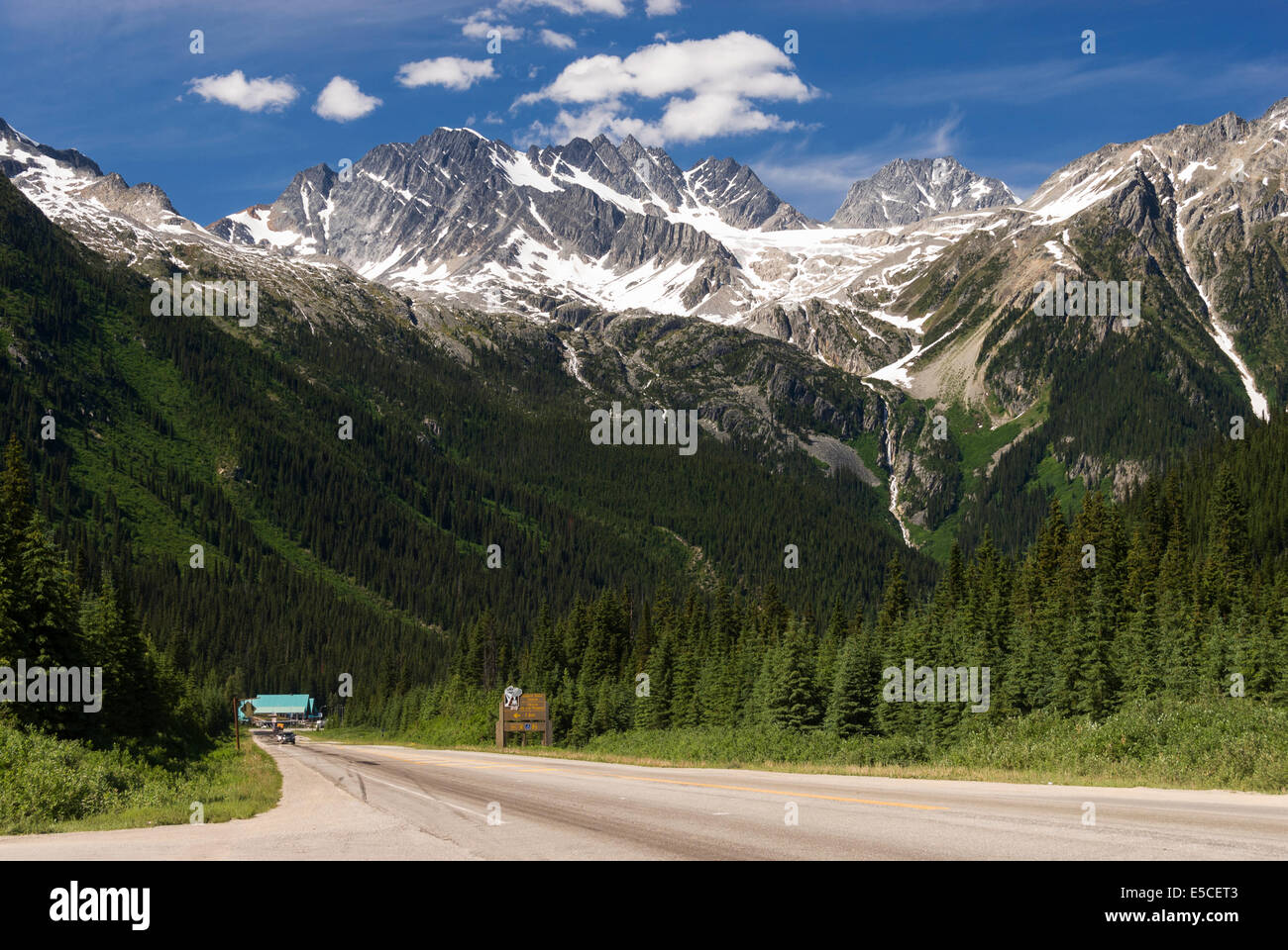 Elk203-2339 Kanada, British Columbia Glacier National Park, Rogers Pass, Trans Canada Highway Stockfoto