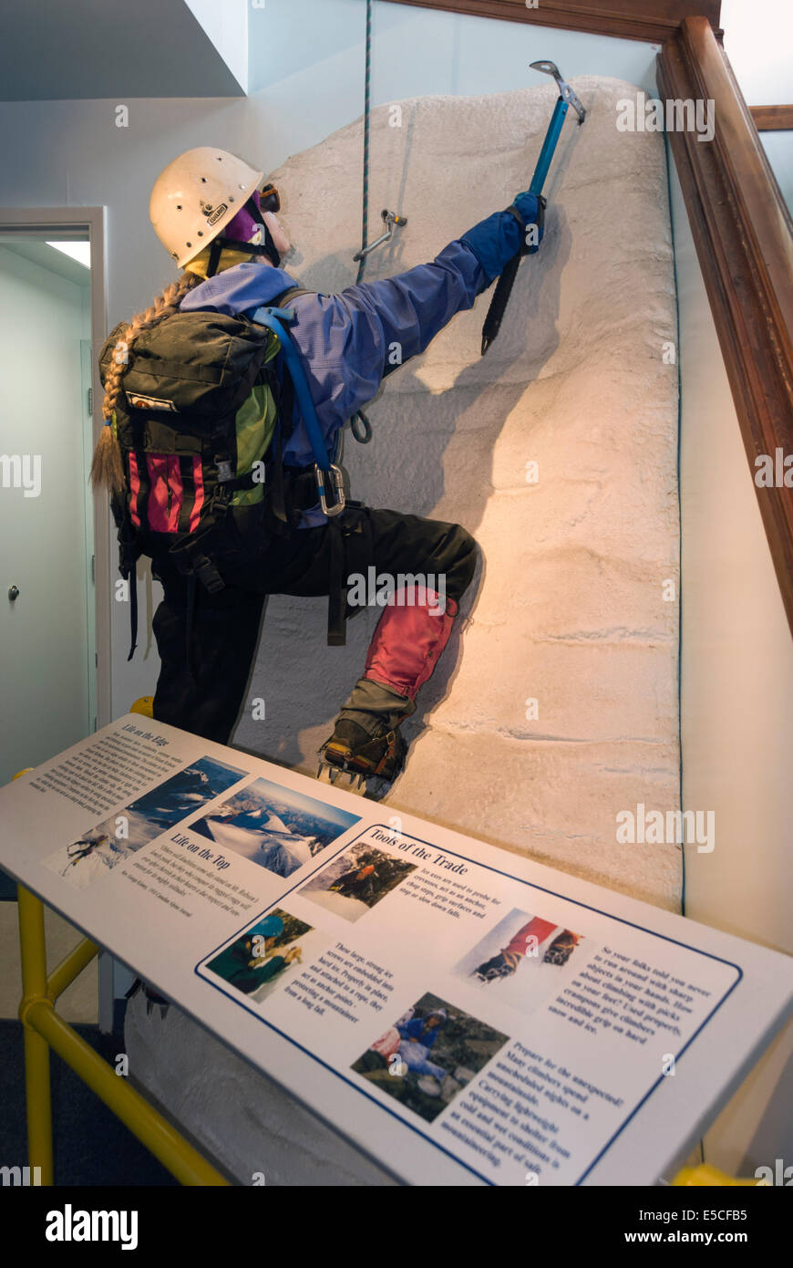 Elk203-2486 Kanada, British Columbia, Mount Robson Provincial Park, Klettern diorama Stockfoto