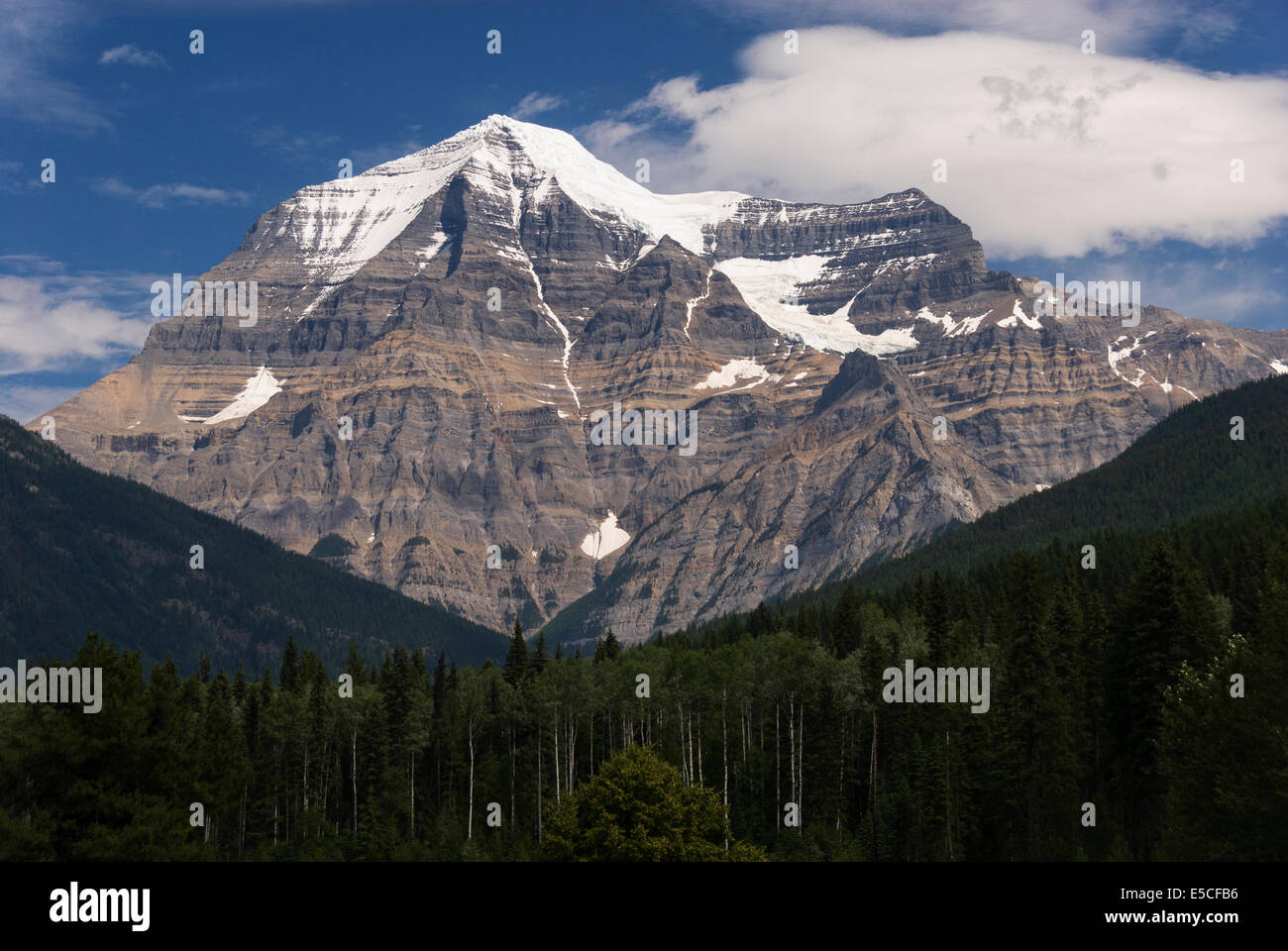 Elk203-2499 Kanada, British Columbia, Mount Robson Provincial Park, Mt Robson, dem höchsten Berg in den kanadischen Rocky Mountains Stockfoto