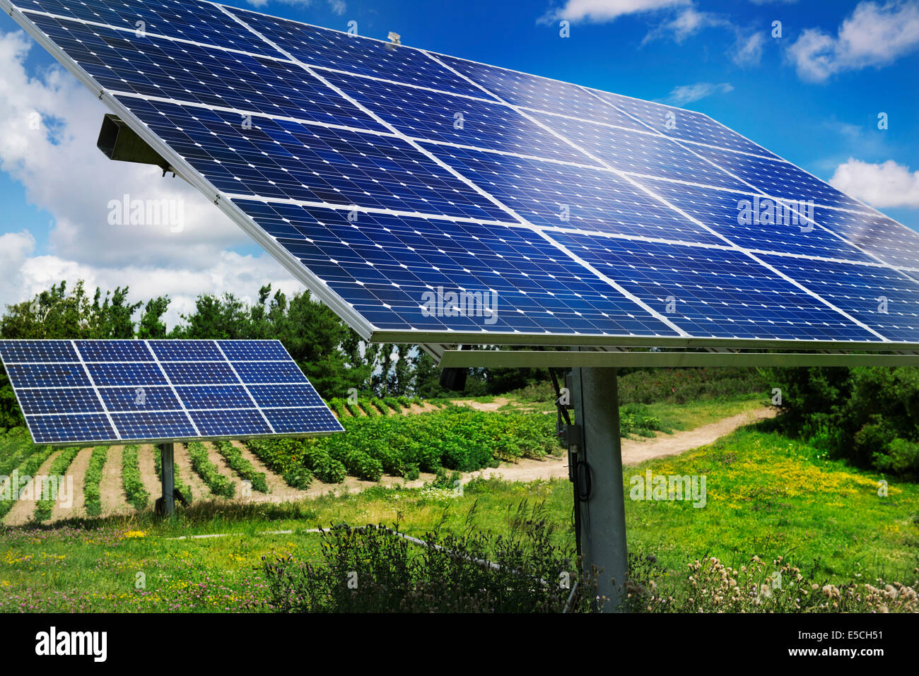Sonnenkollektoren mit Sonnenlicht Tracker auf einer Farm in Milton, Ontario, Kanada. Stockfoto