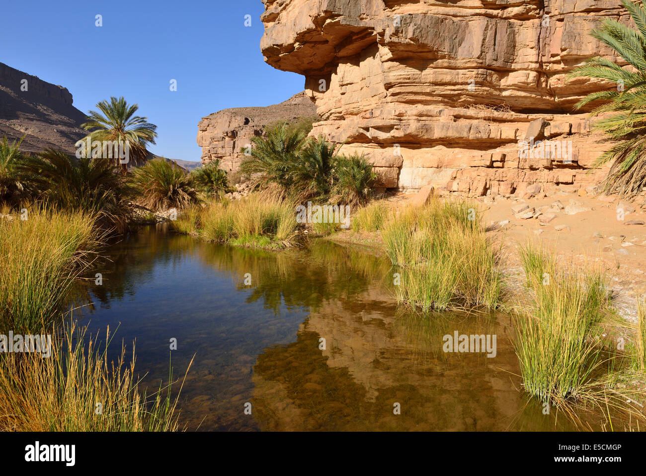 Wasser in einem Guelta Iherir Canyon, Tassili n ' Ajjer National Park, UNESCO-Weltkulturerbe, Wüste Sahara, Algerien Stockfoto