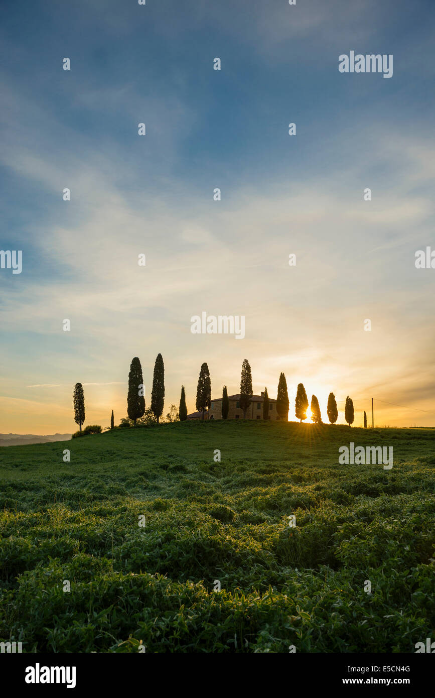 Bauernhof mit Zypressen, Sonnenaufgang, UNESCO World Heritage Site Val d &#39; Orcia, in der Nähe von Pienza, Provinz Siena, Toskana, Italien Stockfoto