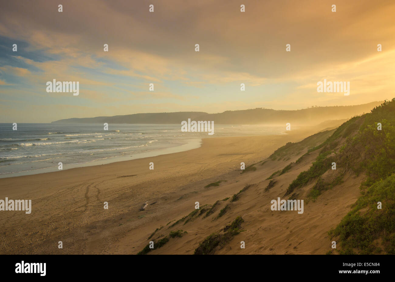Der Strand, Küste, Indischer Ozean, Wilderness, Westkap, Südafrika Stockfoto