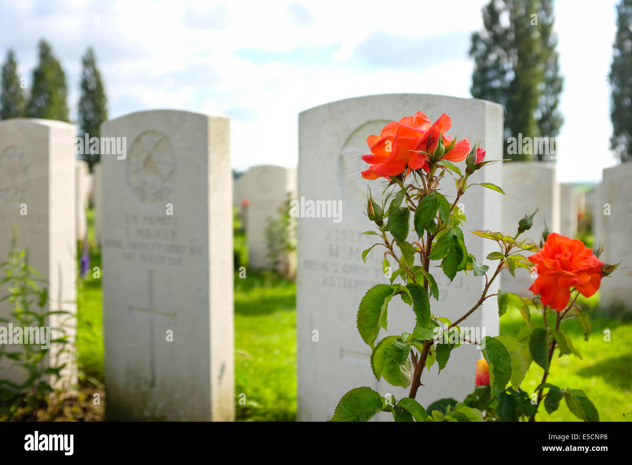 Tyne Cot Friedhof für die Toten des ersten Weltkrieges, Zonnebeke, Belgien Stockfoto