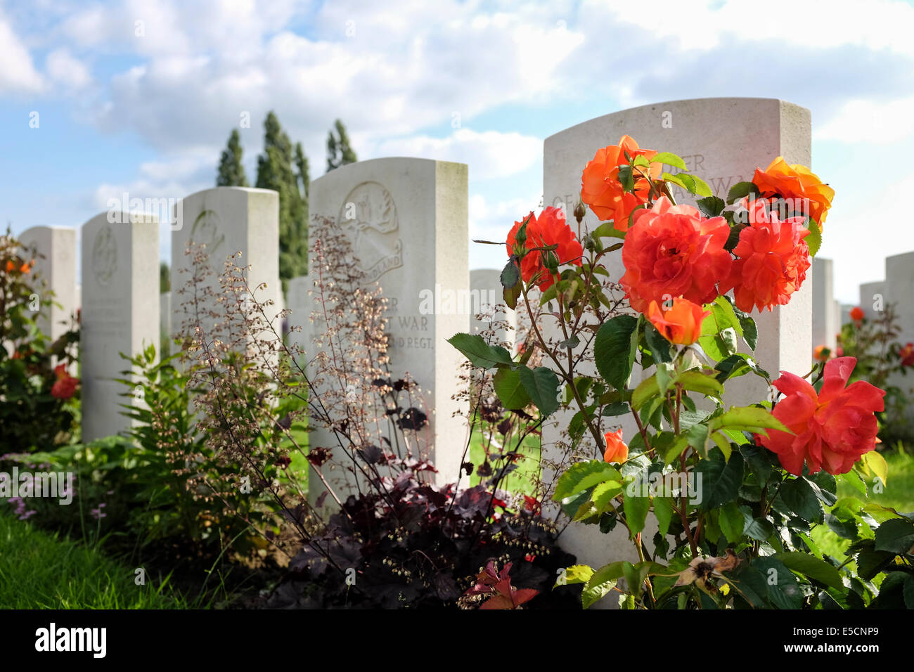Tyne Cot Friedhof für die Toten des ersten Weltkrieges, Zonnebeke, Belgien Stockfoto