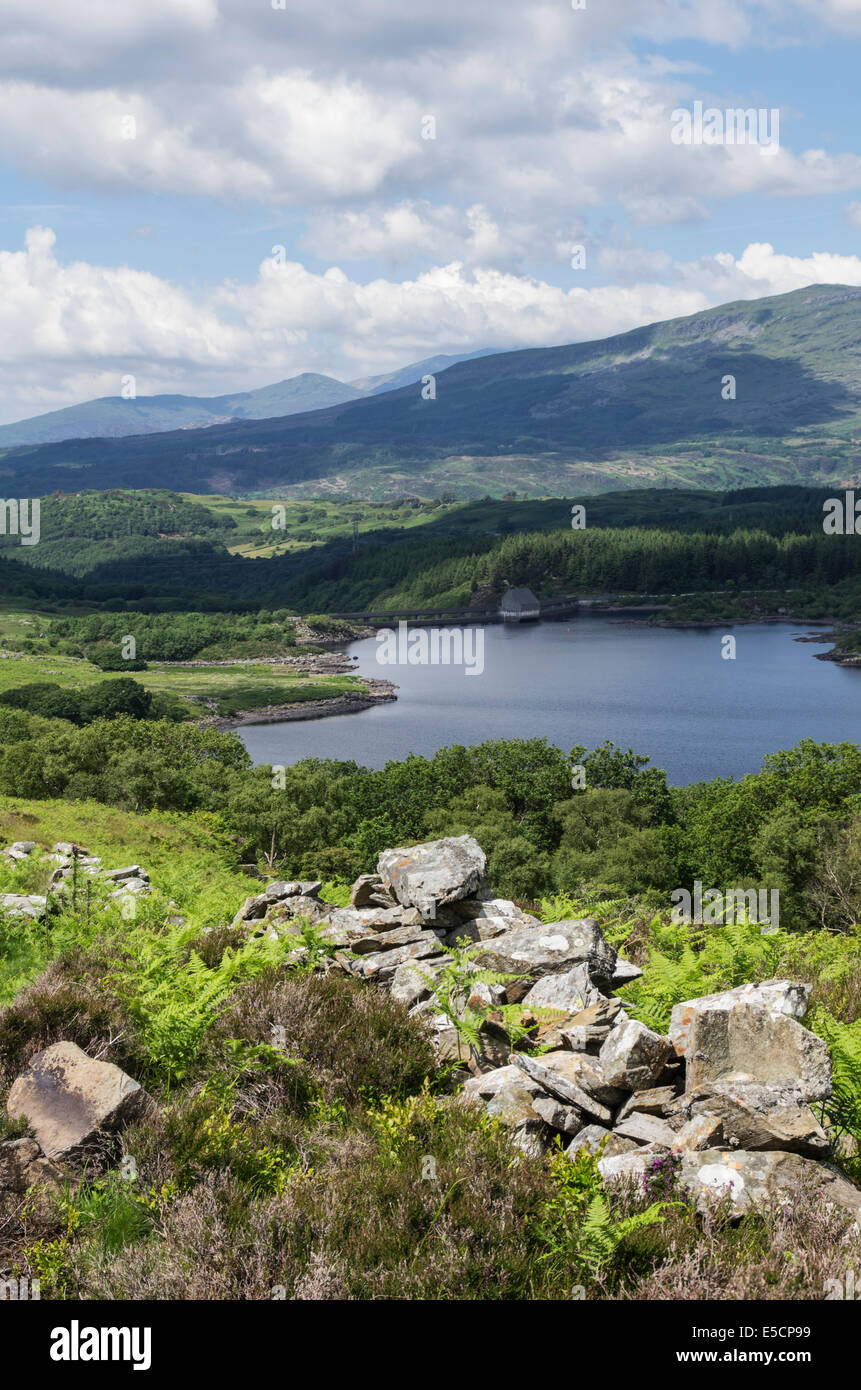 Lake Trawsfynydd, Gwynedd, Nordwales Stockfoto