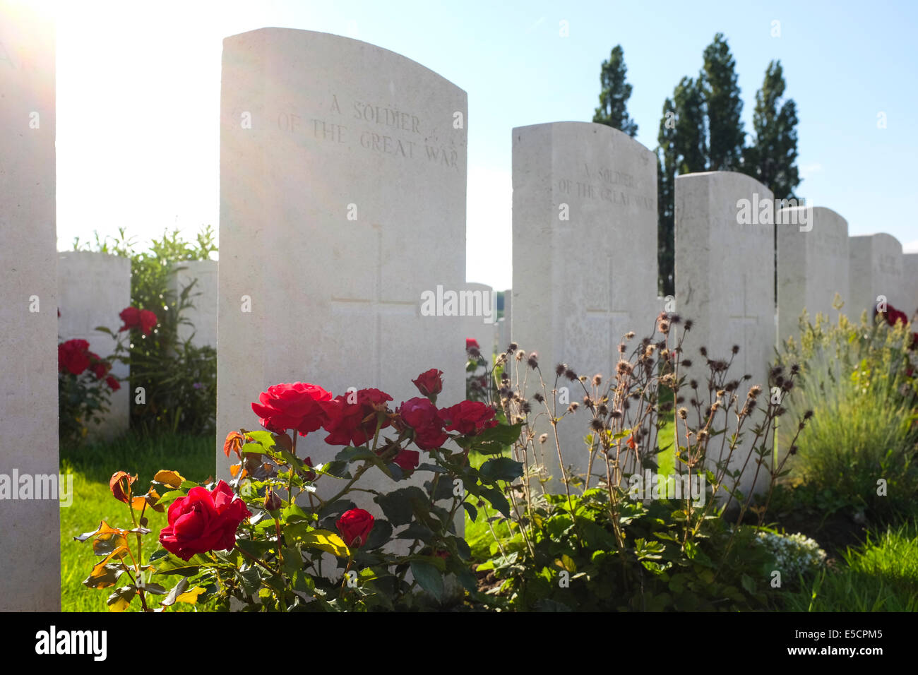 Tyne Cot Friedhof für die Toten des ersten Weltkrieges, Zonnebeke, Belgien Stockfoto