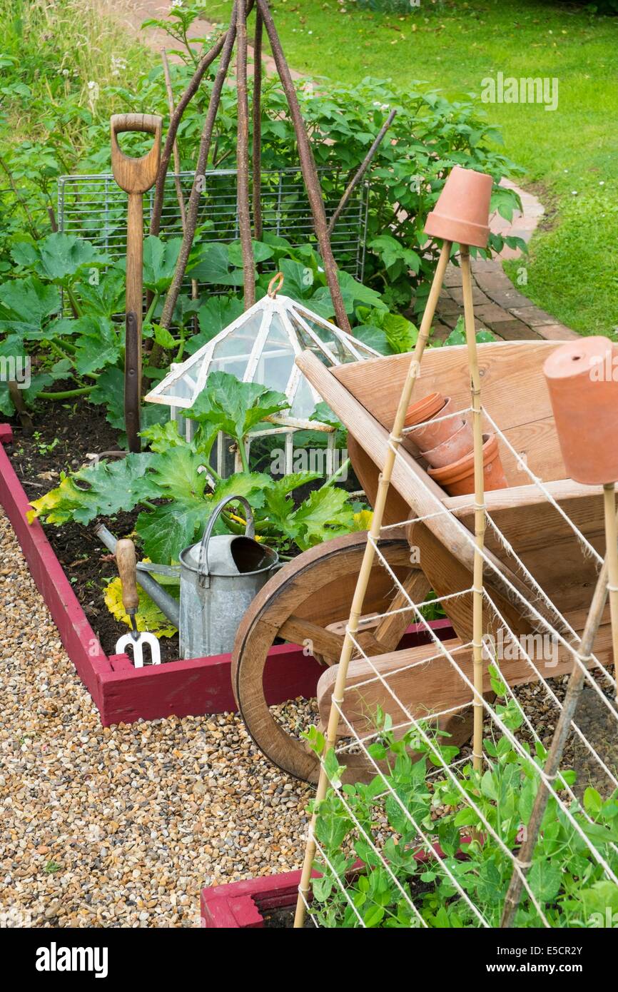 Blick auf kleine Hochbeet mit Garten Erbsen, "Kelvedon Wonder", untersttzt  von Stcken und Garten Bindfden und Outdoor-Tomaten, England  Stockfotografie - Alamy