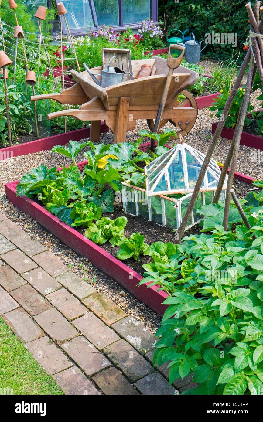 Blick auf kleine Hochbeet Pflanzen auch, Zucchini, Salat und Outdoor-Gurke  in antiken Cloche, England Juli Stockfotografie - Alamy