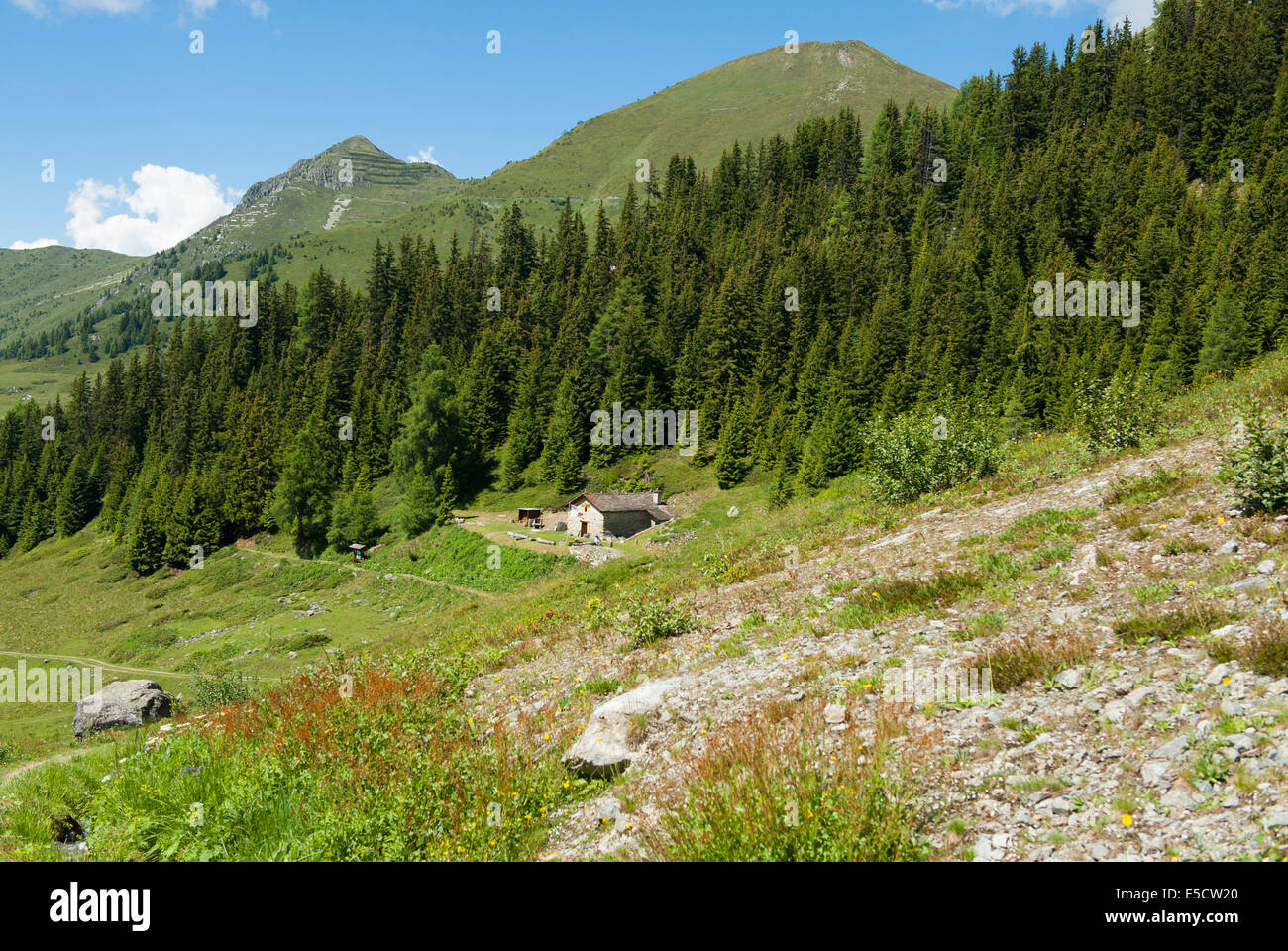 Die Berge von Verbier im Wallis, Schweiz, fallen durch ein ausgedehntes Netz von Wanderwegen zu wandern. Stockfoto
